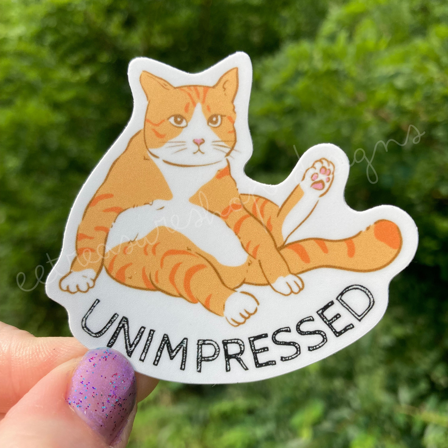 Set of 2 Cat Funny Vinyl Waterproof Stickers